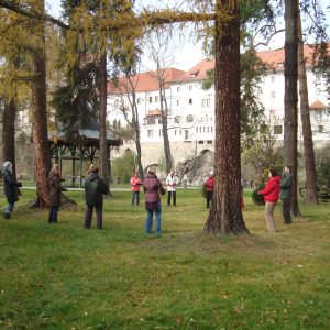 škola čk park2
